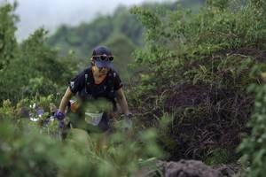 BIB: 312
                            <button type="button" onclick="openModal(24760929)" class="btn btn-primary btn-sm float-right btn-popup" data-toggle="modal" data-target=".modal-high-quality">
                        <i class="fas fa-shopping-cart"></i> Add to Cart
                    </button>
                                            <button type="button" onclick="isThisMe(24760929, true)" class="btn btn-success btn-sm float-right btn-popup btn-isme hidden" data-toggle="tooltip" data-placement="bottom" title="นี่คือรูปของคุณใช่ไหม คลิกที่นี่เพื่อเอาเข้าอัลบั้ม">
                        <i class="fas fa-plus"></i> Add to album
                    </button>
                    <button type="button" onclick="isThisMe(24760929, false)" class="btn btn-warning btn-sm float-right btn-popup btn-isnotme hidden">
                        <i class="fas fa-ban"></i> Remove from album
                    </button>